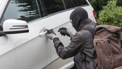 Autodiebstahl
