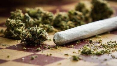 Marihuana Drogen Betäubungsmittel