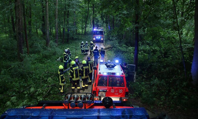 Unglück - Unwetter bei Günzburg Frau von Baum getroffen