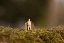 Exhibitionist Mantel