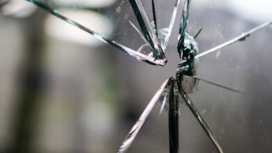 Glas Scherben