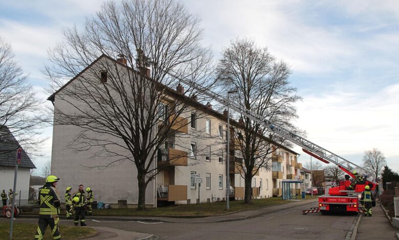 Guenzburg Rauchentwicklung Ofen 16022020 1