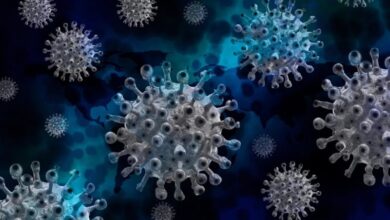Corona Virus neu