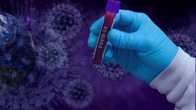 Corona Covid 19 Virus