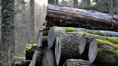 Holz aufgeschichtet Holzstapel