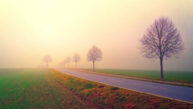 Strasse Nebel