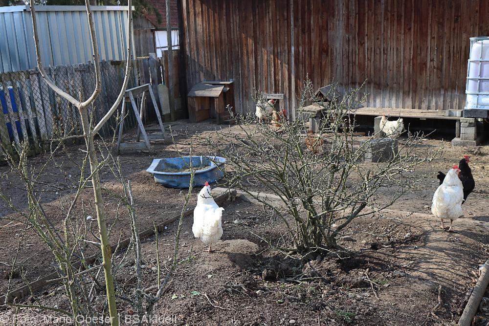 Fredlhof Tag offenen Tür 05.03.2022