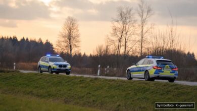 KI-generiertes Symbolfoto zu Polizeieinsatz bei Illertissen