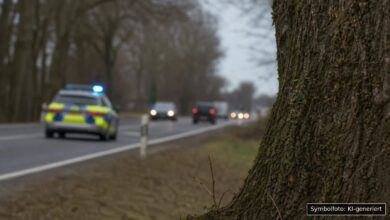 KI-generiertes Symbolfoto zu Polizeieinsatz / Verkehrskontrolle bei Laupheim