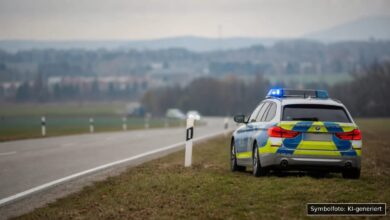 KI-generiertes Symbolfoto zu Verkehrskontrolle bei Leipheim