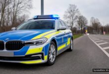 KI-generiertes Symbolfoto zu Tierrettung bei Bundesstraße 12 bei Kaufbeuren