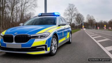 KI-generiertes Symbolfoto zu Tierrettung bei Bundesstraße 12 bei Kaufbeuren
