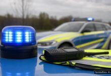 KI-generiertes Symbolfoto zu Trickdiebstahl bei Balzhausen