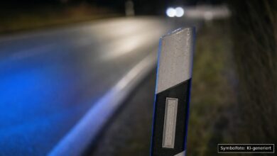 KI-generiertes Symbolfoto zu Verkehrskontrolle bei Lauingen (Donau)