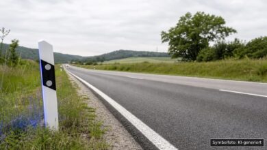 KI-generiertes Symbolfoto zu Verkehrskontrolle bei Leipheim
