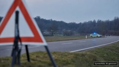 KI-generiertes Symbolfoto zu Verkehrskontrolle bei Lindau