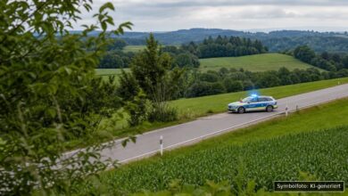 KI-generiertes Symbolfoto zu Verkehrsunfall bei Opfenbach