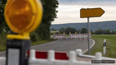KI-generiertes Symbolfoto zu Diebstahl bei Lauingen (Kreisstraße DLG 28 bei Frauenriedhausen)