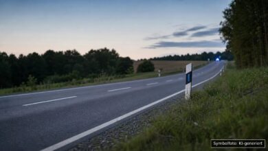 KI-generiertes Symbolfoto zu Verkehrsunfallflucht bei Lauingen