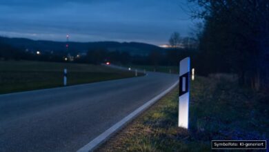 KI-generiertes Symbolfoto zu Verkehrskontrolle bei Benningen