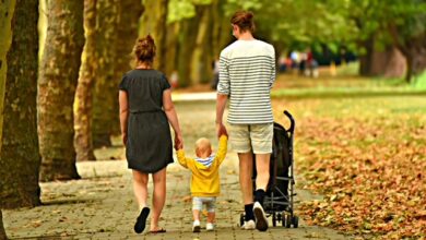 Beitragsbild zu Familienstützpunkt Günzburg: Beratungszahlen 2025 deutlich gestiegen
