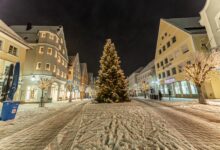 Beitragsbild zu Günzburg sucht Weihnachtsbäume für die Innenstadt und Stadtteile