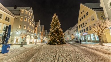 Beitragsbild zu Günzburg sucht Weihnachtsbäume für die Innenstadt und Stadtteile