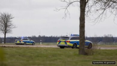KI-generiertes Symbolfoto zu Polizeikontrolle bei Günzburg