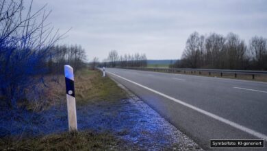 KI-generiertes Symbolfoto zu Verkehrskontrolle bei Holzgünz, A96