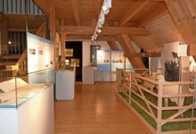Beitragsbild zu Kostenlose Führung durch Schaf-Ausstellung in der Blauen Ente in Leipheim