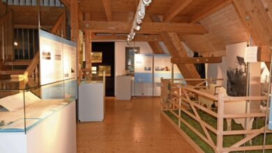 Beitragsbild zu Kostenlose Führung durch Schaf-Ausstellung in der Blauen Ente in Leipheim