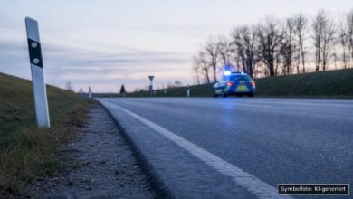 KI-generiertes Symbolfoto zu Verkehrskontrolle bei Lindau
