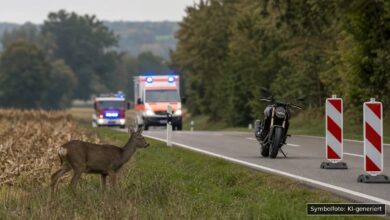 KI-generiertes Symbolfoto zu Verkehrsunfall bei Affing (Anwalting), Landkreis Aichach-Friedberg