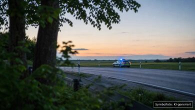 KI-generiertes Symbolfoto zu Verkehrskontrolle bei Neuburg (Landkreis Günzburg)