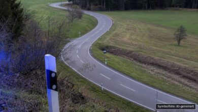 KI-generiertes Symbolfoto zu Verkehrsunfallflucht bei Oberreute