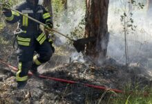 Beitragsbild zu Waldbrand bei Augsburg-Haunstetten: Feuerwehr löscht Flammen auf 1000 Quadratmetern