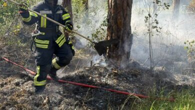 Beitragsbild zu Waldbrand bei Augsburg-Haunstetten: Feuerwehr löscht Flammen auf 1000 Quadratmetern