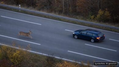 KI-generiertes Symbolfoto zu Verkehrssicherheitshinweis / Prävention bei Oberbayern Nord