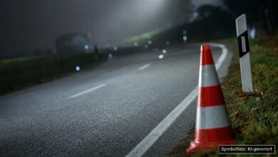 KI-generiertes Symbolfoto zu Verkehrsunfall (Wildunfall) bei Harburg OT Ebermergen