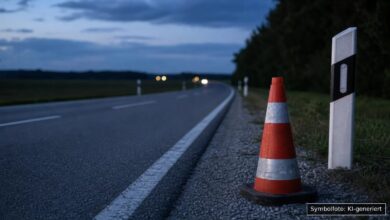 KI-generiertes Symbolfoto zu Wildunfall bei Monheim