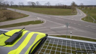 KI-generiertes Symbolfoto zu Verkehrsunfall (Wildunfall) bei Wemding und Tapfheim