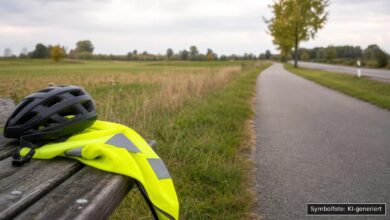 KI-generiertes Symbolfoto zu Verkehrsunfall (Wildunfall) bei Fünfstetten/Sulzdorf, Landkreis Donau-Ries
