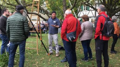 Beitragsbild zu Apfelfest in der Kreisheimatstube Stoffenried am 11. Oktober 2026