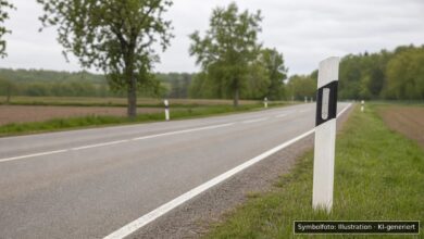 KI-generiertes Symbolfoto zu Unfallflucht bei Bad Schussenried, Moosburger Straße