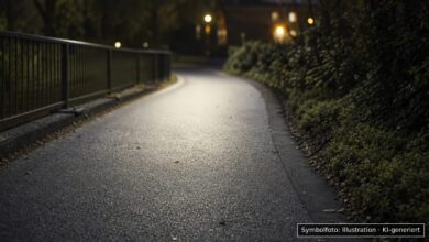 KI-generiertes Symbolfoto zu Trunkenheitsfahrt mit Verkehrsgefährdung und Widerstand gegen Polizeibeamte bei Jettingen-Scheppach, Kreisstraße zwischen Goldbach und Jettingen sowie Staatsstraße 2025