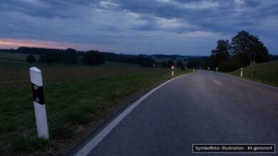 KI-generiertes Symbolfoto zu Verkehrsunfallflucht bei Dillingen
