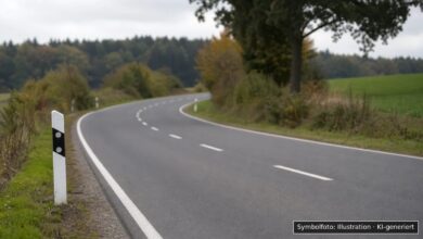 KI-generiertes Symbolfoto zu Verkehrsunfallflucht bei Donauwörth