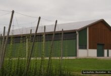 KI-generiertes Symbolfoto zu Brand bei Niederlauterbach, Landkreis Pfaffenhofen an der Ilm