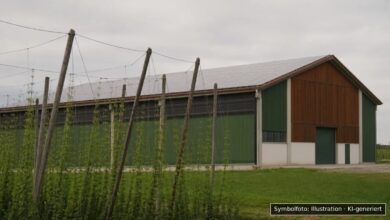 KI-generiertes Symbolfoto zu Brand bei Niederlauterbach, Landkreis Pfaffenhofen an der Ilm