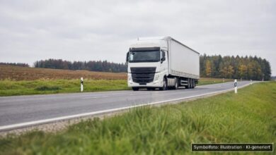 KI-generiertes Symbolfoto zu Verkehrskontrolle bei Höchstädt
